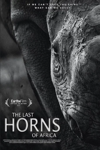 Movie poster for The Last Horns Of Africa (2021)