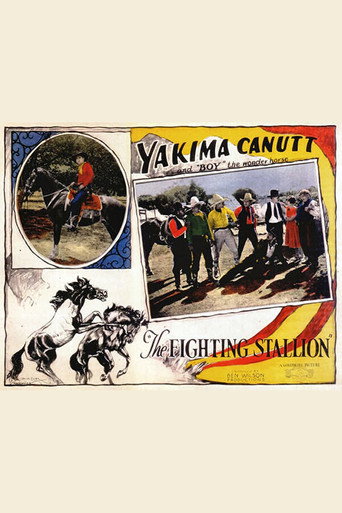 Movie poster for The Fighting Stallion (1926)