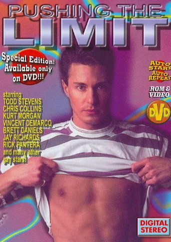 Movie poster for Pushing the Limit (1995)