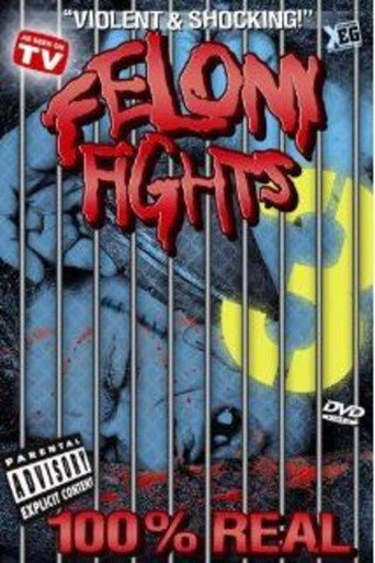 Movie poster for Felony fights 3: 3rd Strike (2005)