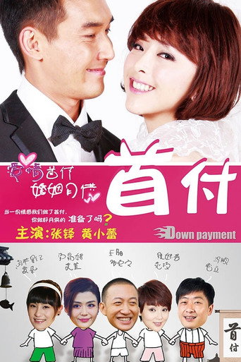 首付 poster