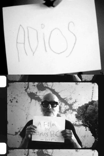 Movie poster for Adios (2025)