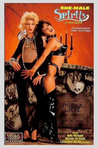 Movie poster for She-Male Spirits in the Night (1991)