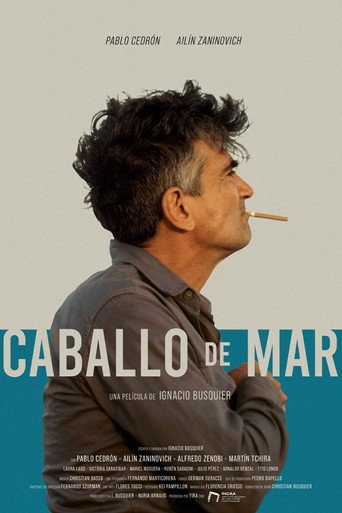 Caballo de mar poster