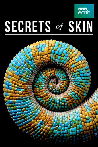 Series poster for Secrets of Skin (2019)