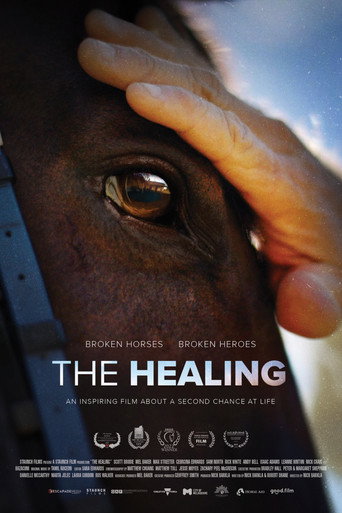 Movie poster for The Healing (2023)
