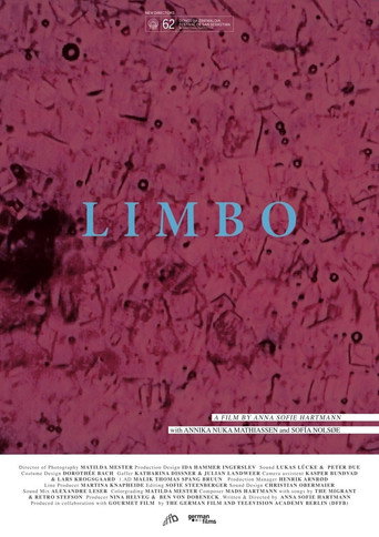 Movie poster for Limbo (2014)