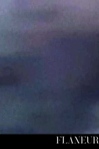 Movie poster for Flâneur (2025)