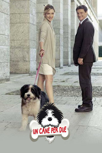 Un cane per due poster