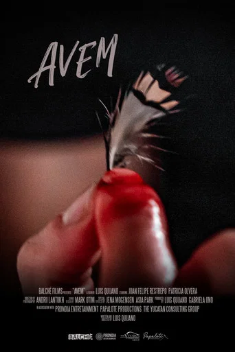 Movie poster for Avem (2025)