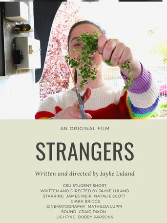 Movie poster for Strangers