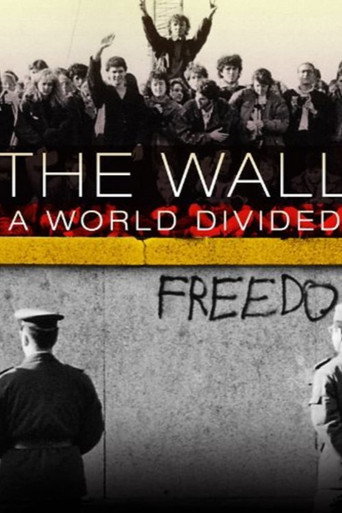 Movie poster for The Wall: A World Divided (2010)
