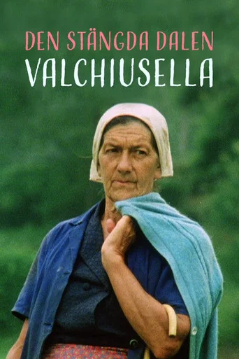 Movie poster for Den stängda dalen - Valchiusella (1986)