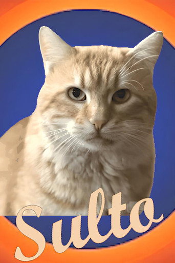Movie poster for Sulto (2024)