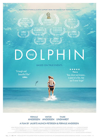 Dolphin poster