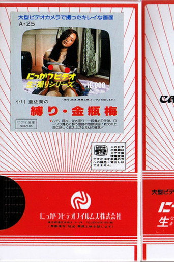 Movie poster for Asami Ogawa's Binding: Jin Ping Mei (1982)