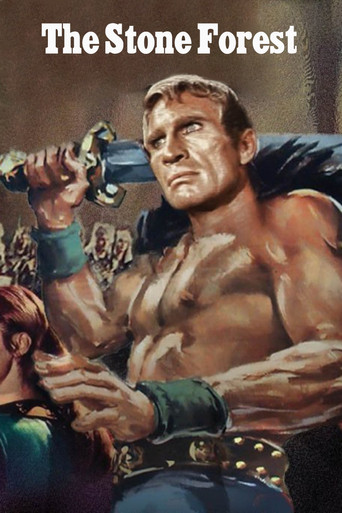 The Stone Forest poster