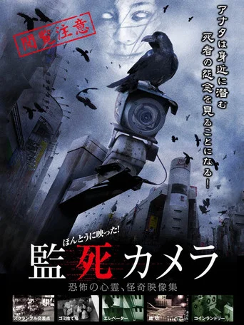 Movie poster for It Really Reflected! Captive Camera (2012)
