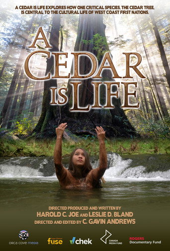 Movie poster for A Cedar Is Life