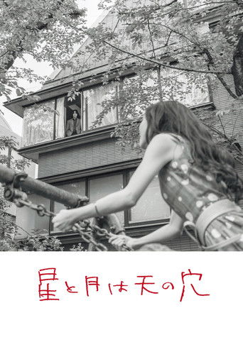 The Stars and the Moon are Holes in the Sky poster