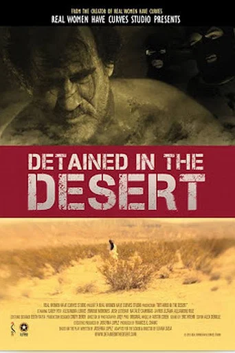 Movie poster for Detained in the Desert (2013)