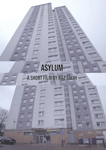 Movie poster for Asylum