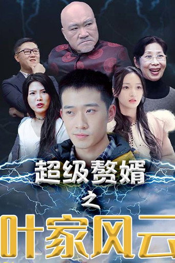 超级赘婿之叶家风云 poster