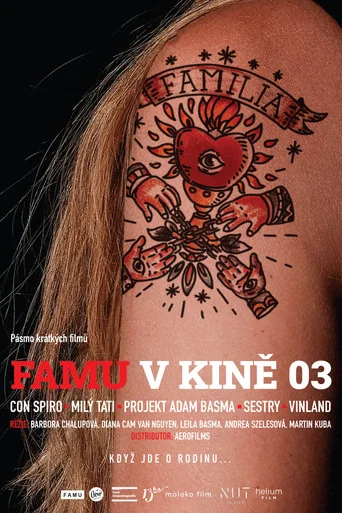 Movie poster for FAMU v kině 03 (2022)