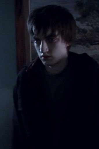 The Ambassador poster