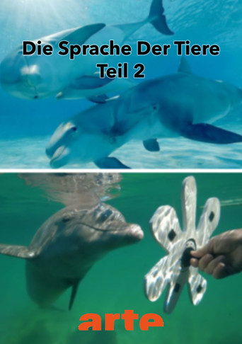 Die Eloquenz der Tiere (2/2) poster