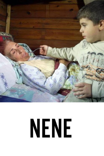 Movie poster for Nene (2007)