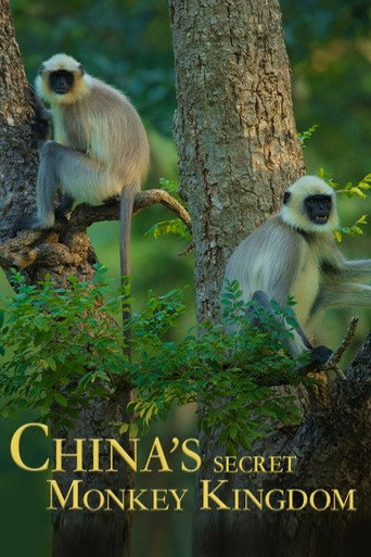 Movie poster for China's Secret Monkey Kingdom (2021)