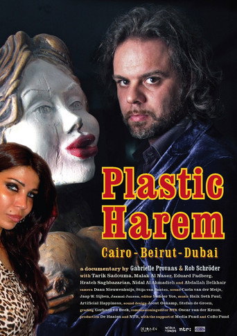 Movie poster for Plastic Harem (2014)