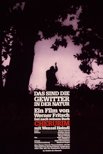 Movie poster for Das sind die Gewitter in der Natur (1988)