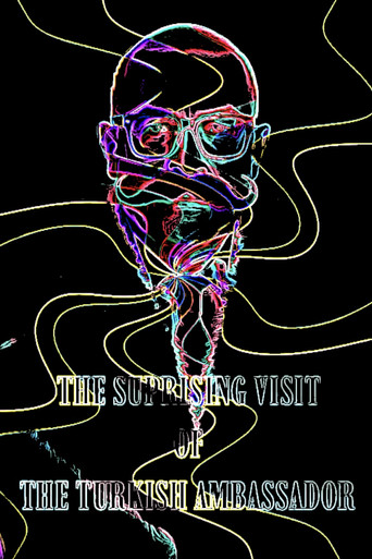 Movie poster for The Suprising Visit Of The Turkish Ambassador (2024)