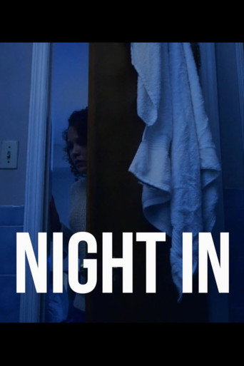 Movie poster for Night In (2017)