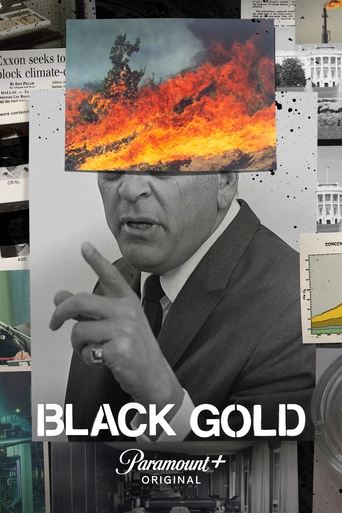 Black Gold poster