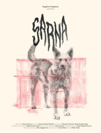 Sarna poster