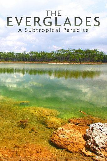 Movie poster for National Parks Exploration Series: The Everglades (2011)