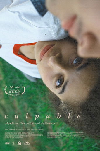 Culpable poster