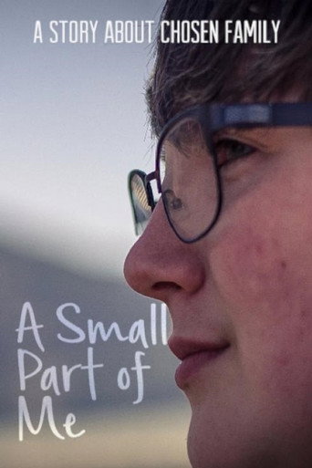 Movie poster for A Small Part of Me (2017)