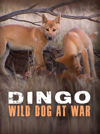 Movie poster for Dingo: Wild Dog at War (2013)