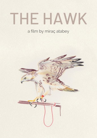 Movie poster for The Hawk (2013)