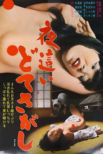 Movie poster for Night Visitors: Sex Hunt (1979)