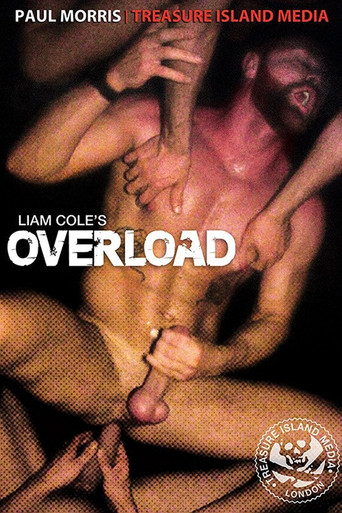 Movie poster for Overload (2013)