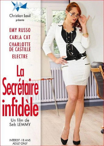 Movie poster for La secrétaire infidèle (2013)