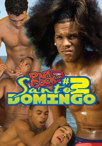 Movie poster for Santo Domingo Uncut 2 (2008)