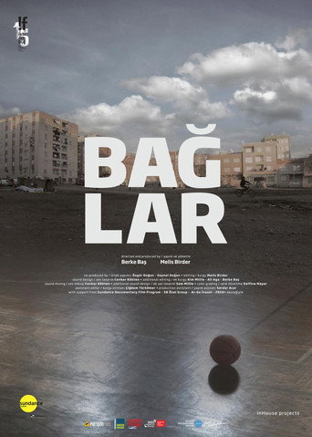 Movie poster for Baglar (2016)