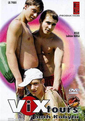 Movie poster for Vix-Tours nach Kobylá (2005)
