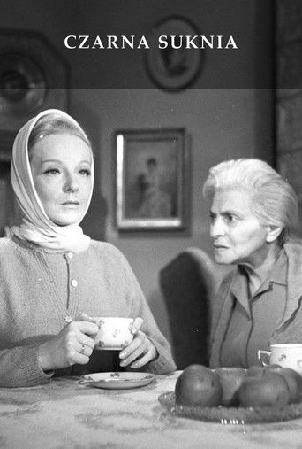 The Black Dress poster